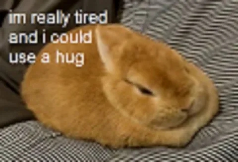 Tired Rabbit Needs a Hug