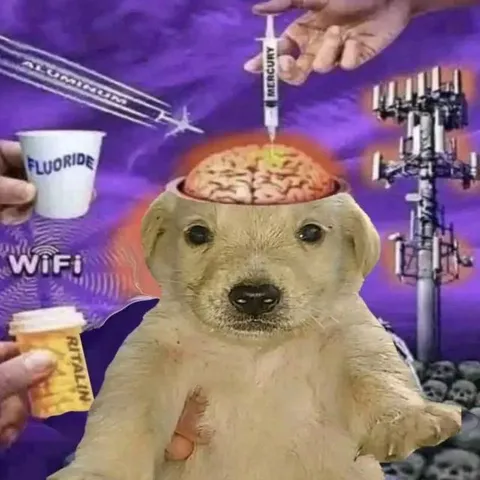 Puppy Brain Conspiracy Theory