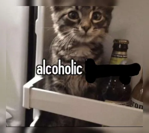 Alcoholic Cat in the Fridge