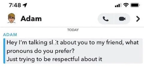 Respectful Pronoun Insult