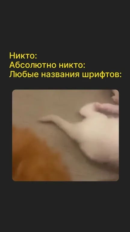 Котята на любые названия шрифтов
