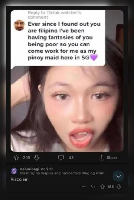 Filipino Maid Fantasy Comment