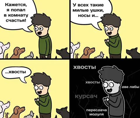 Комната счастья с хвостами