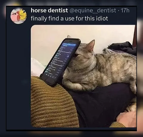 Finally Find a Use for This Idiot