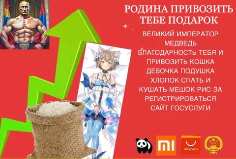Китайский подарок от Родины