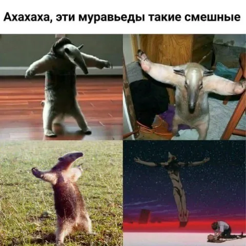 Смешные муравьеды