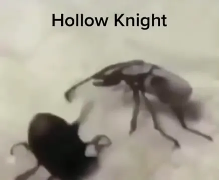 Hollow Knight Beetle Battle
