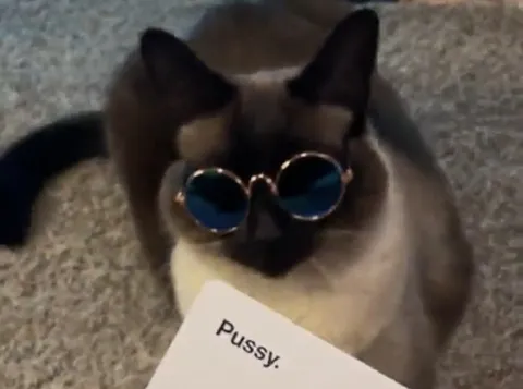 Cat Wearing Round Sunglasses