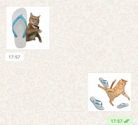 Кот разбрасывает тапочки