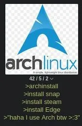 Arch Linux Installation Flex