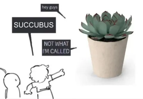 Succubus Plant Misnaming Joke