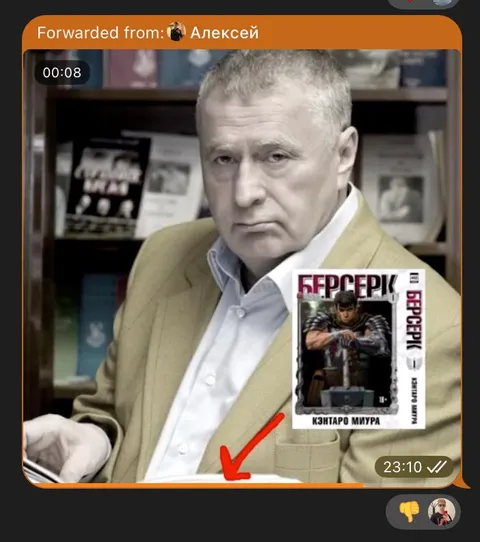 Серьёзный взгляд и Берсерк