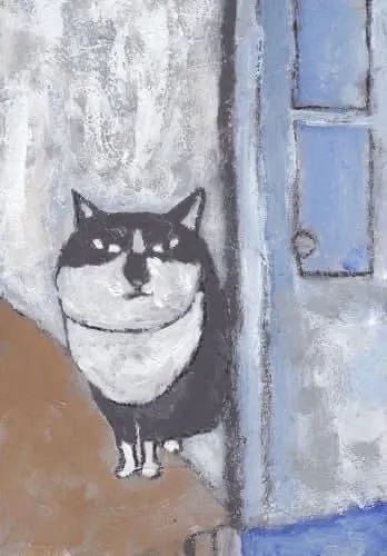Кот ждёт у двери
