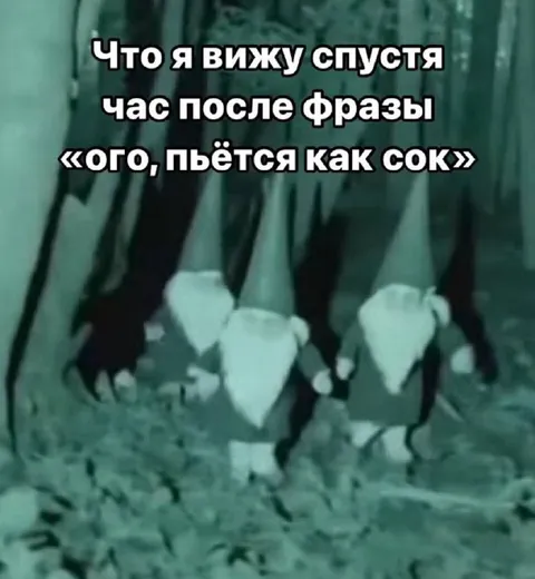 Гномы после фразы про сок