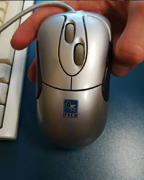 Old Silver Computer Mouse