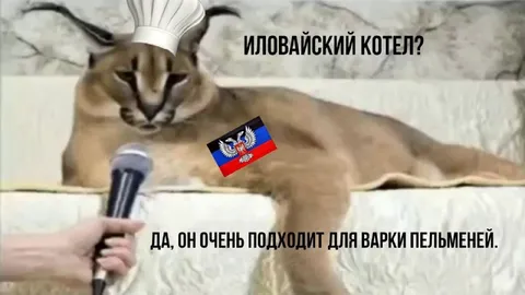 Иловайский котёл для пельменей