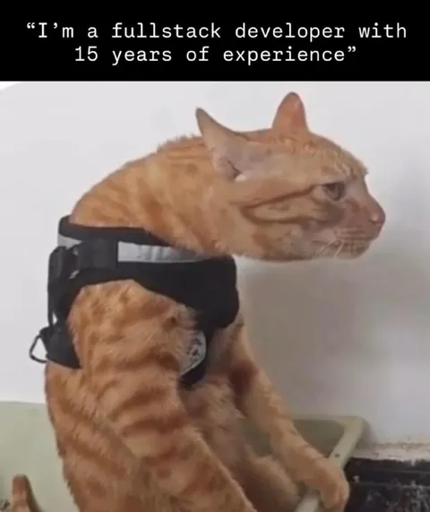 Fullstack Developer Cat