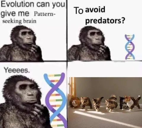Evolution Gives You a Pattern-Seeking Brain