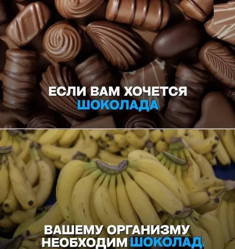 Когда хочется шоколада
