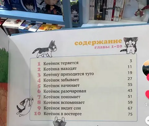 Содержание книги про котёнка