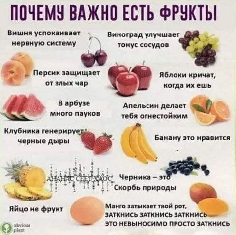 Почему важно есть фрукты