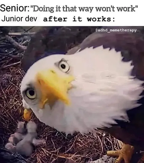 Junior Developer Makes It Work
