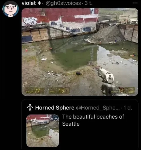 The Beautiful Beaches of Seattle