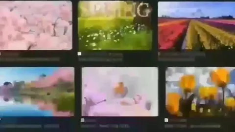 Бесконечная лента цветущих пейзажей