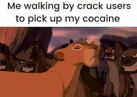 Simba Walking Past Crack Users