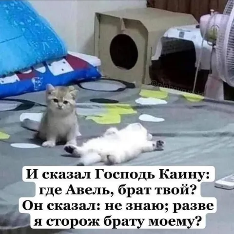 Каин не сторож брату своему