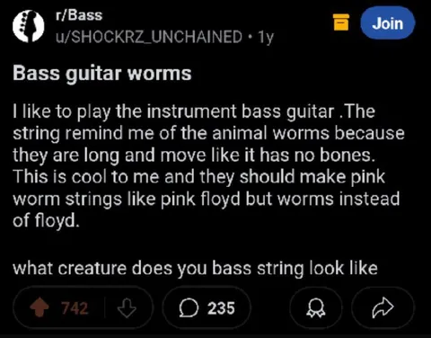 Bass Guitar Worms