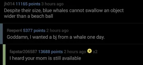 Whale Mom Comeback
