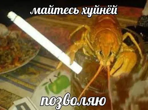 Рак разрешает маяться хуйнёй