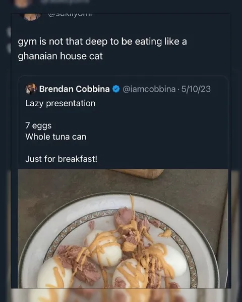 Ghanaian House Cat Breakfast