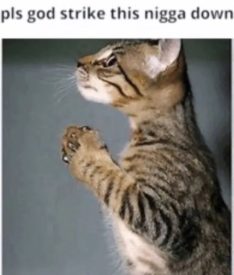Cat Praying for Divine Punishment