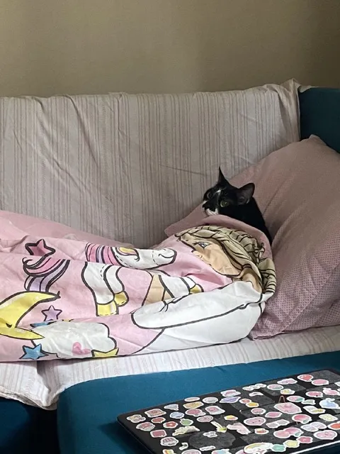 Кот под одеялом