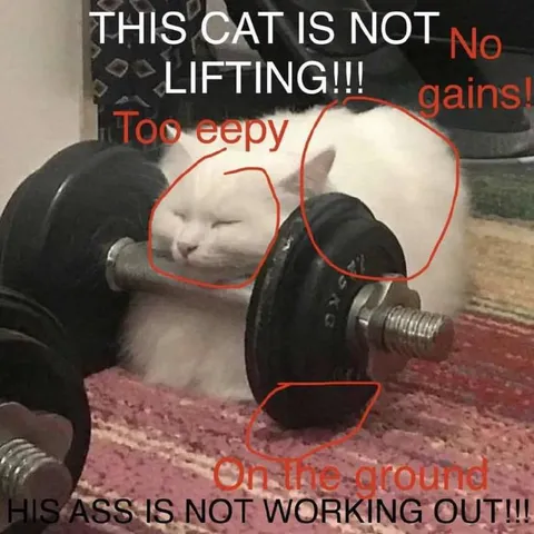 Sleepy Cat Fails at Lifting