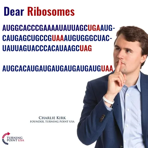 Dear Ribosomes Endless AUG
