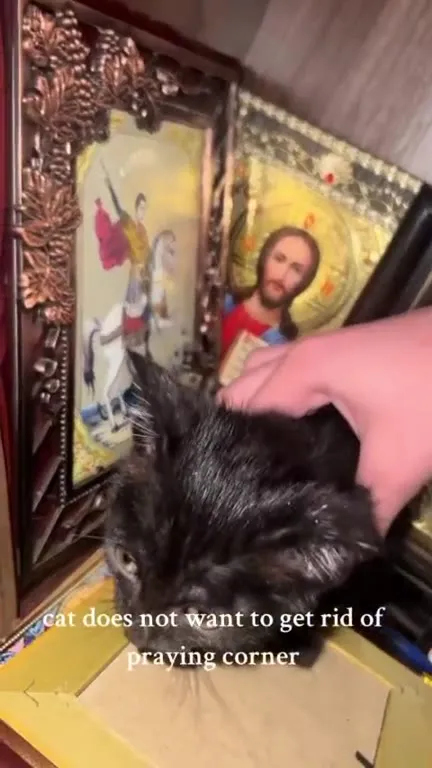 Cat Guards the Prayer Corner