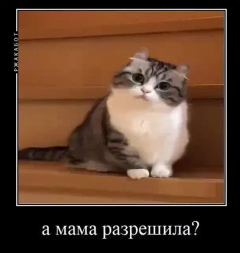 А мама разрешила?