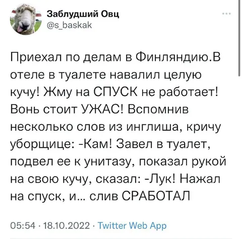 Кам и лук в туалете