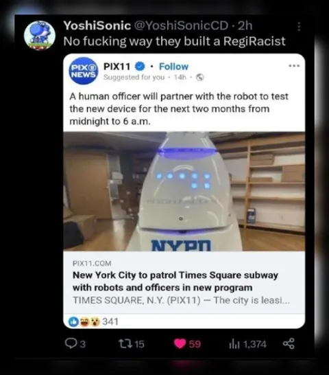 RegiRacist Robot Patrol