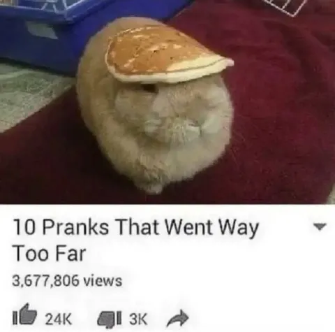 Cat Prank Went Too Far