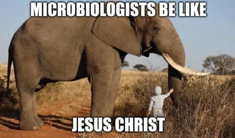 Microbiologists Be Like Jesus Christ