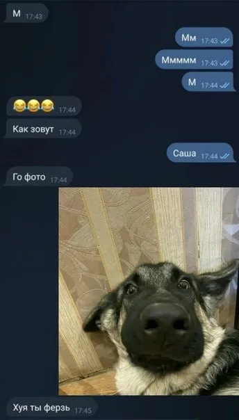 Хуя ты ферзь