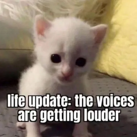 Kitten Hears the Voices