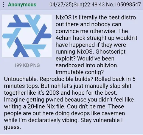 NixOS Is Literally the Best Distro