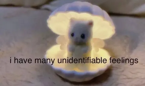 Many Unidentifiable Feelings