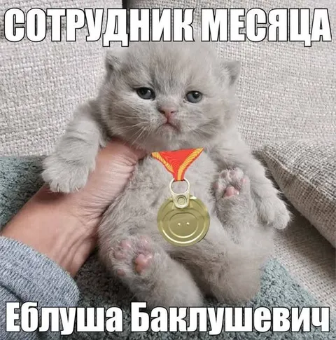 Сотрудник месяца Еблуша
