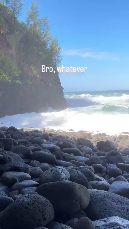 Bro, whatever nature montage